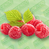 Raspberry