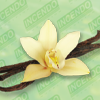 Vanilla
